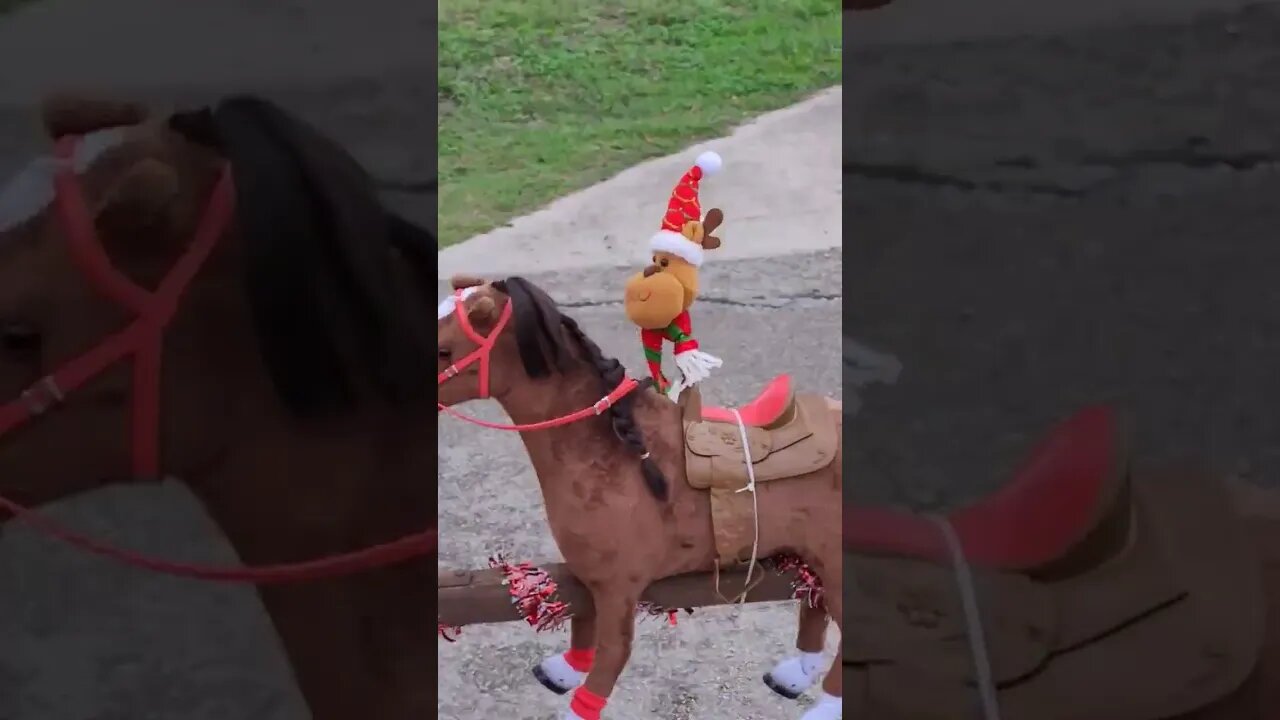 Christmas parade in Sattler Texas, near Canyon Lake. Just horsing around.. #shorts