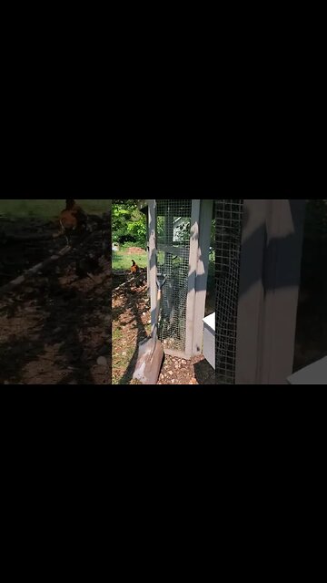 Someone new joins the family!