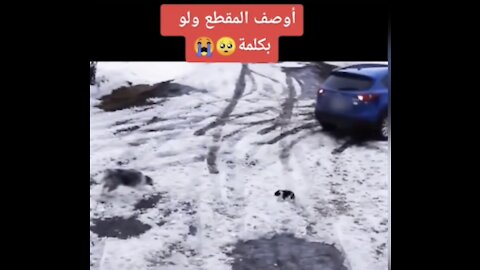 اوصف المقطع و لو بكلمة 😱