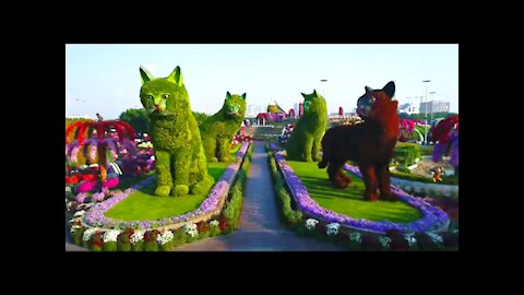 Dubai Miracle Garden