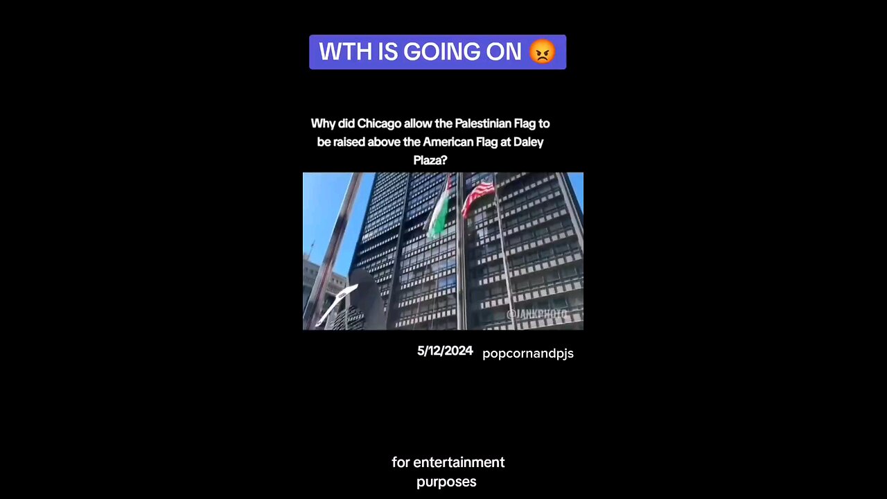 Chicago Raised The Palestine Flag Higher Than The American Flag. The Black Vote Is PISSED