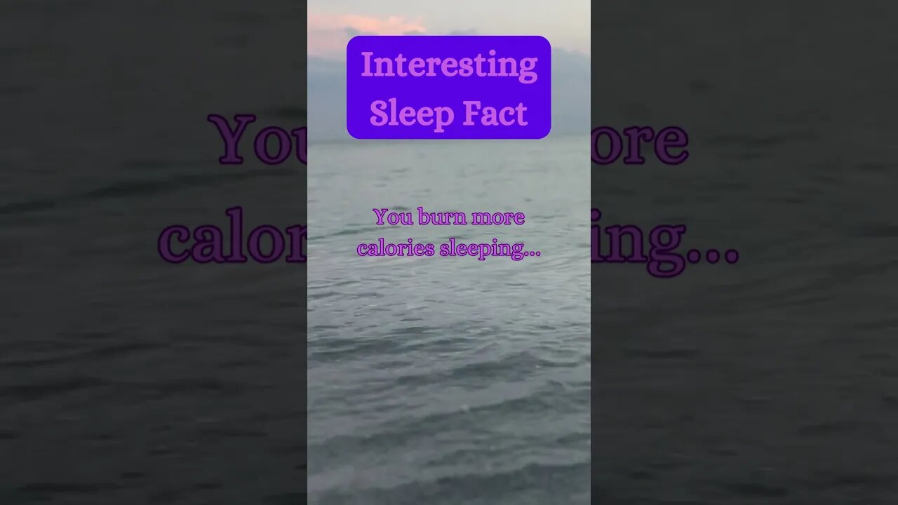 Beach Sleep Secret? 😴🏖️ | Surprising Fact Revealed! @AmbientNoiseCo. #beachvibes #facts #ocean