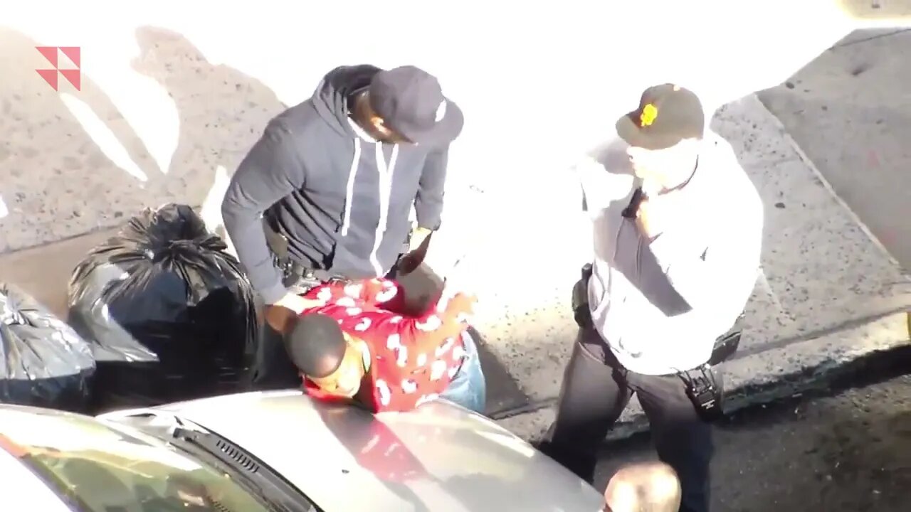 Mother tries to stop NYPD officers from doing their jobs