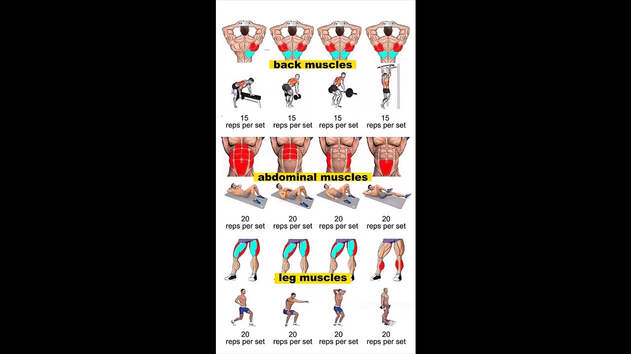12 Must See Exercises for Back, Abs and Leg Muscles.