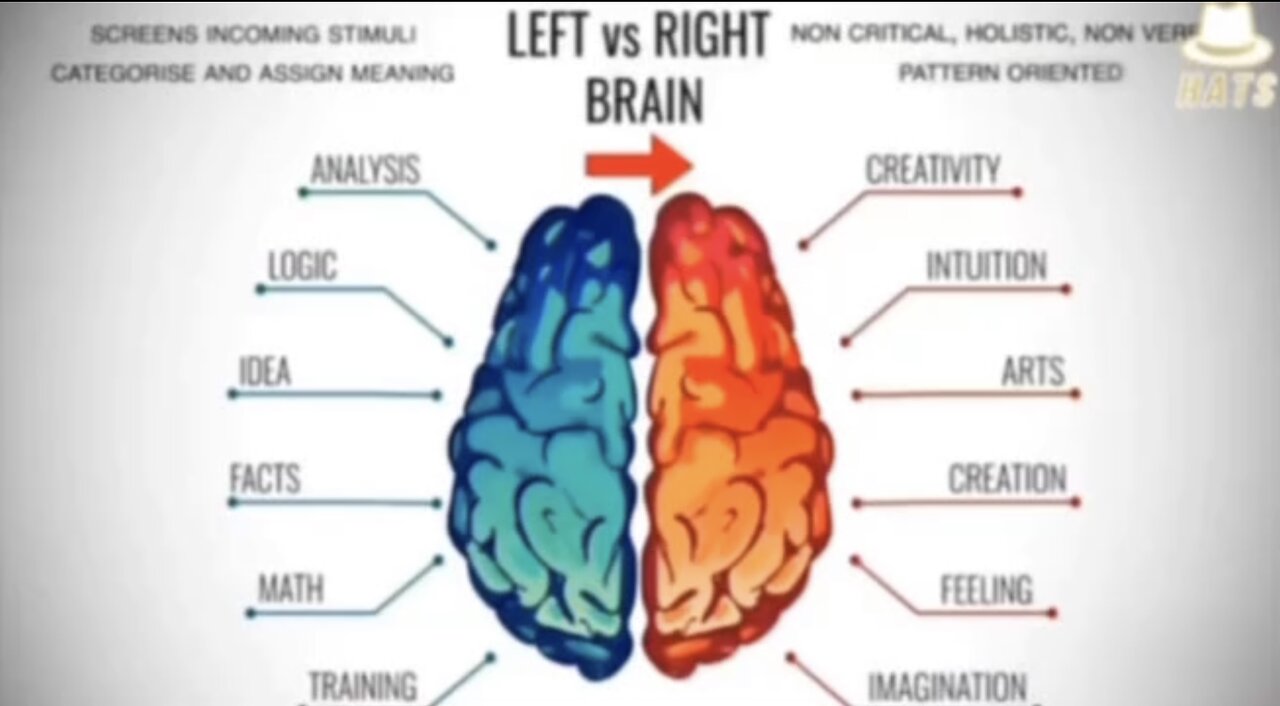 LEFT BRAIN HEMISPHERE🧗‍♀️👩‍💻👁️🧠💻VS RIGHT BRAIN HEMISPHERE🎨👨‍🎨🧠👀👂🧘‍♂️💭💫