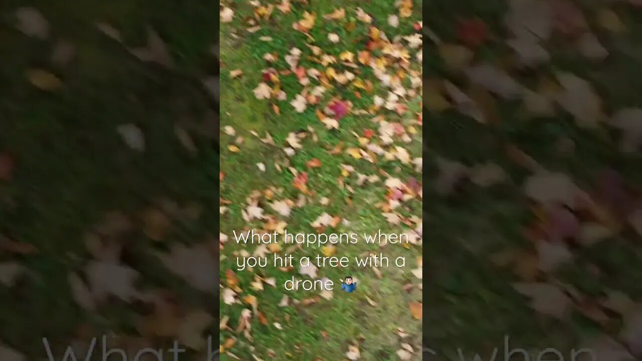 What Happens When You Hit A Tree With Your Drone 😭