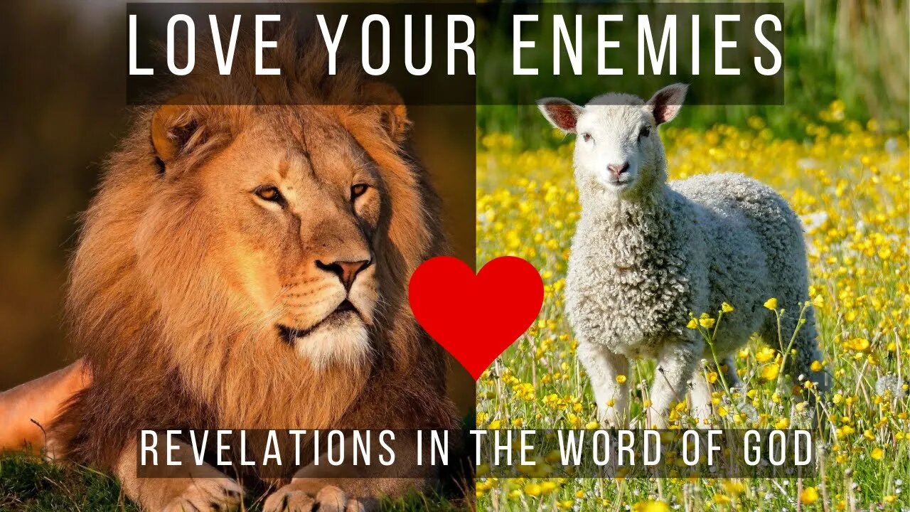 LOVE YOUR ENEMIES: Episode 10 - (A Word From The Author Series)
