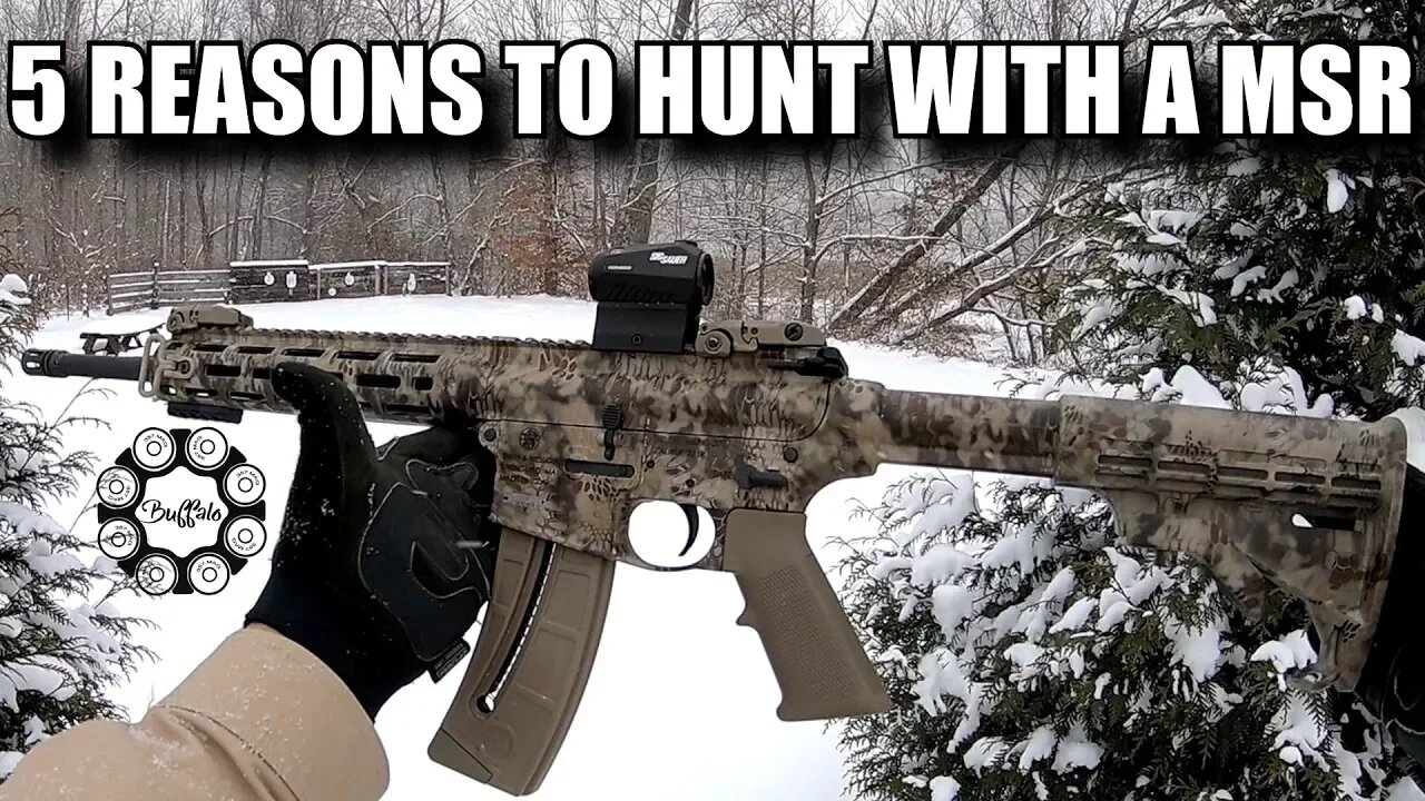 5 reasons to hunt with an AR-15 (MSR)