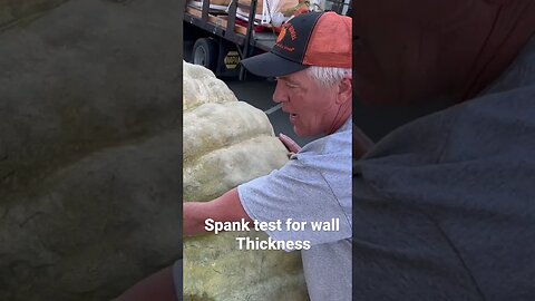 Pumpkin Spanking #bubba #giantpumpkin