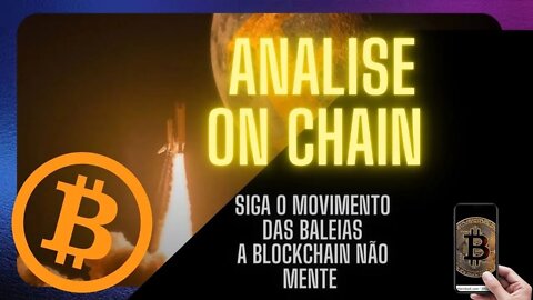 ANÁLISE ON CHAIN MOVIMENTO DOS BIG PLAYERS | BITCOIN E CRIPTOMOEDAS - CONVIDADO VELOSO CRIPTO BRASIL