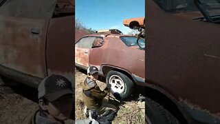Back from the grave. 72 Plymouth Satellite. #nonamenationals, #noname500, #raceto500, #justdriveit,