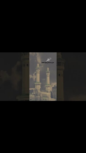 🌹 صلوا على النبي 🌹