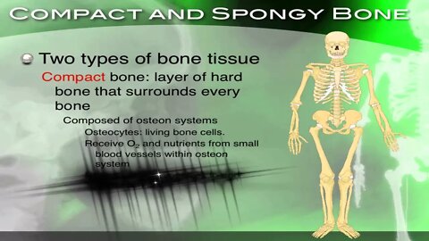 The Skeletal System, its Structure and Function - Section 34.2