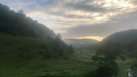 Good morning 🌻 Laural 💕