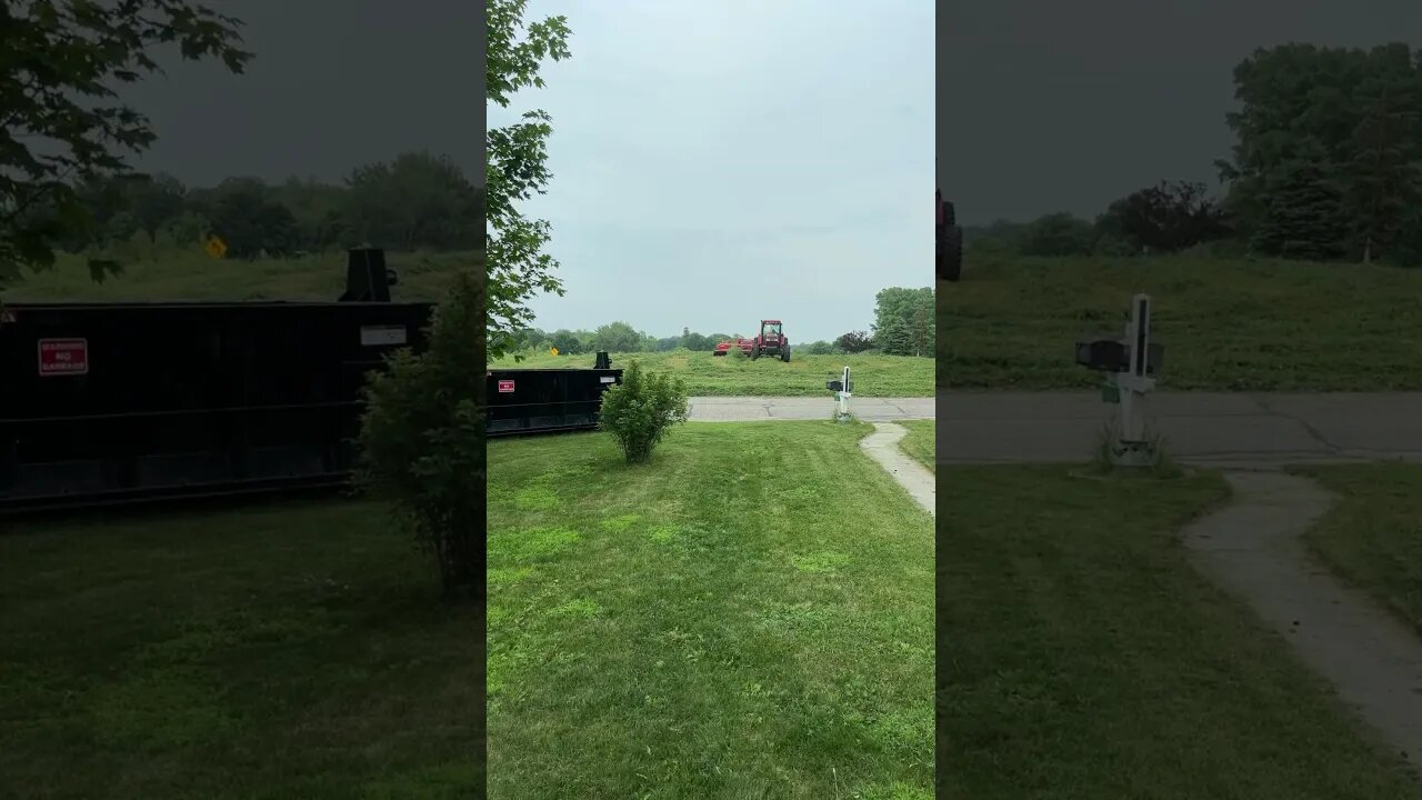 Why do middle class neighbors synchronize lawn mowing? #marryup