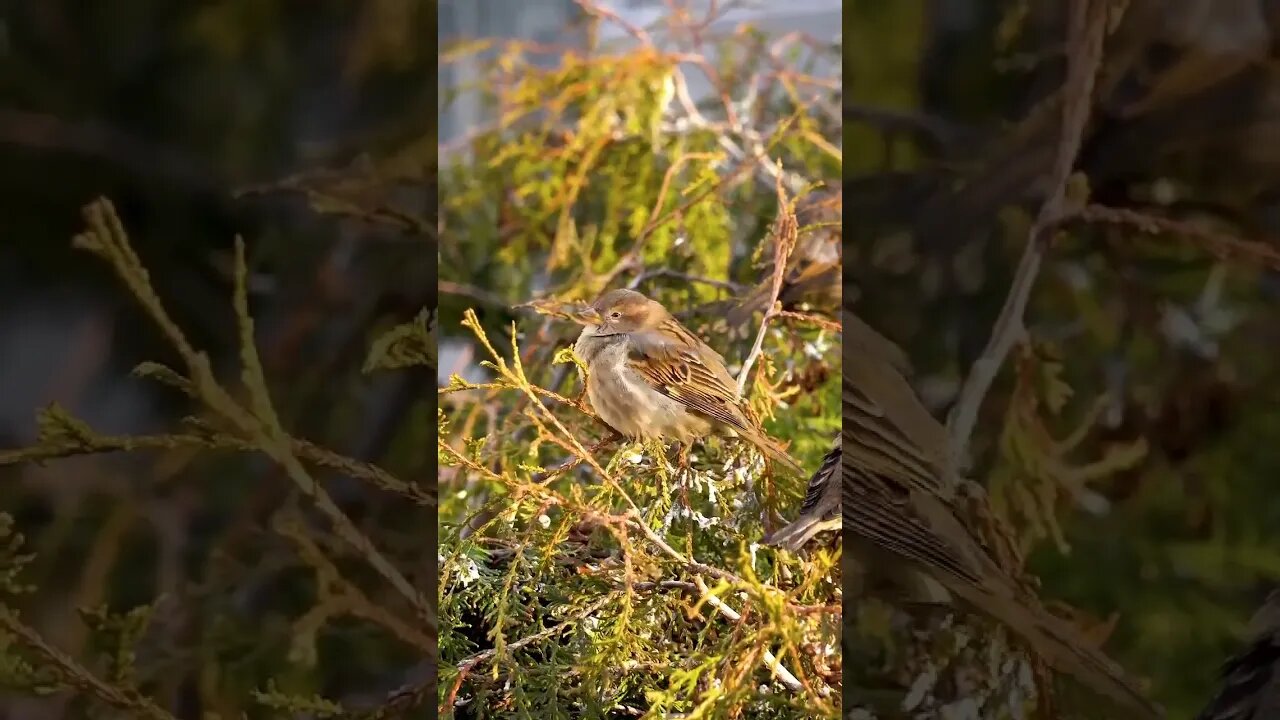 Os dias estão ficando mais longos e as noites mais curtas