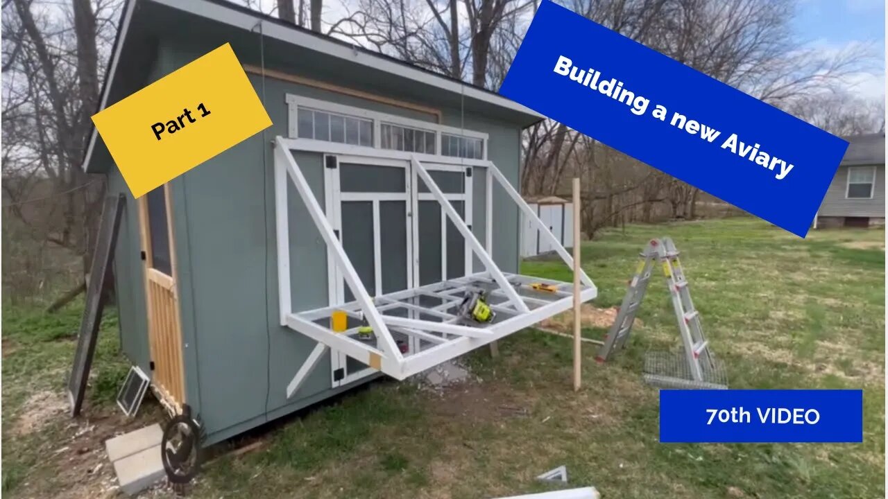Building a New Aviary – Part 1