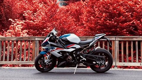 Speed Demons Thrilling Motorcycle Races