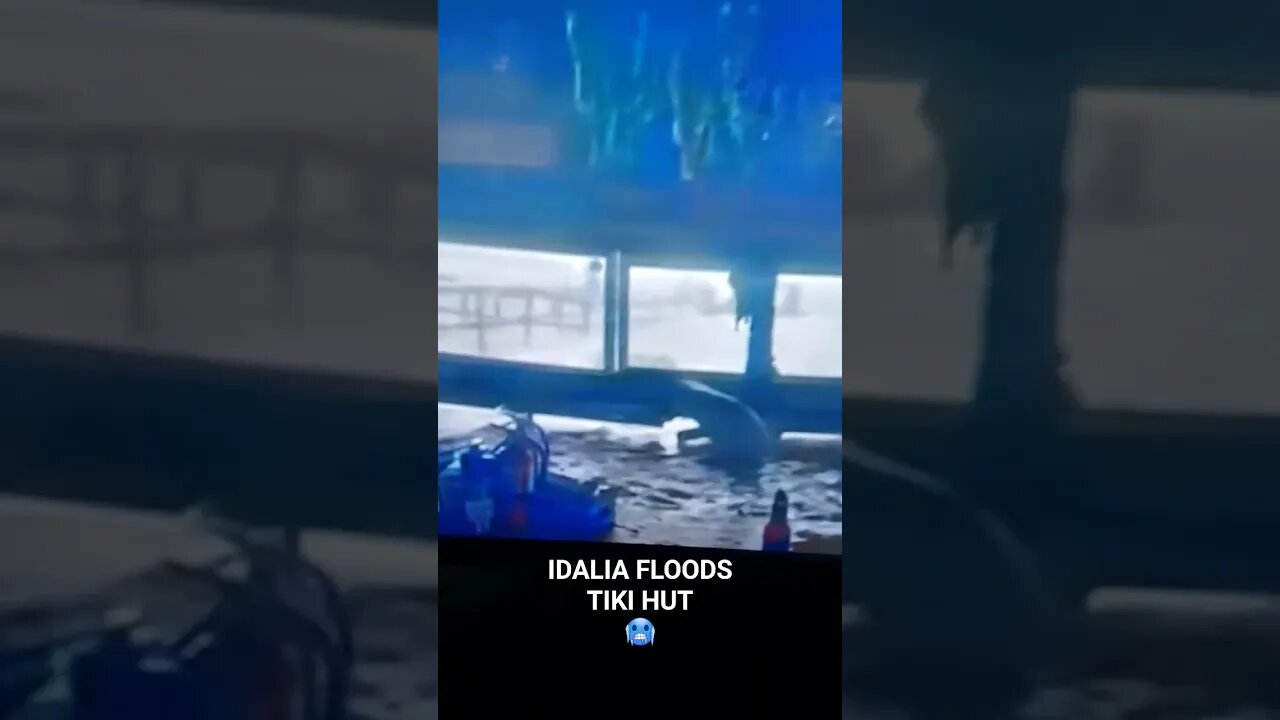 Tiki Hut soaked by IDALIA! #shortsvideo #shorts #short A hurricane Idalia shorts video.