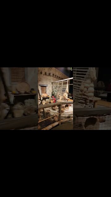 Exhibits at Creation Museum