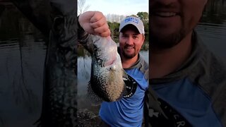 The BIGGEST crappie ever! ( Ohio crappie fishing )