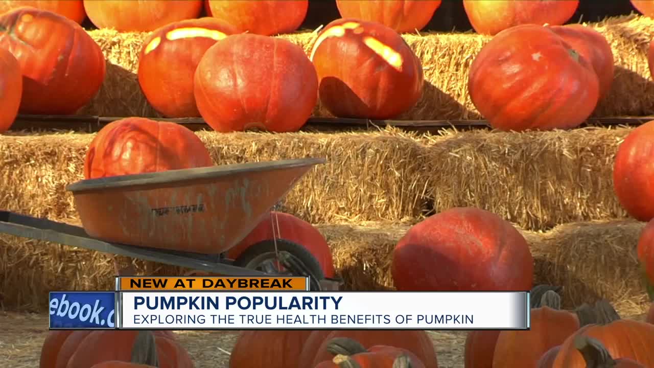 Pumpkin Popularity! Reviewing the sugar content in your favorite fall treats.