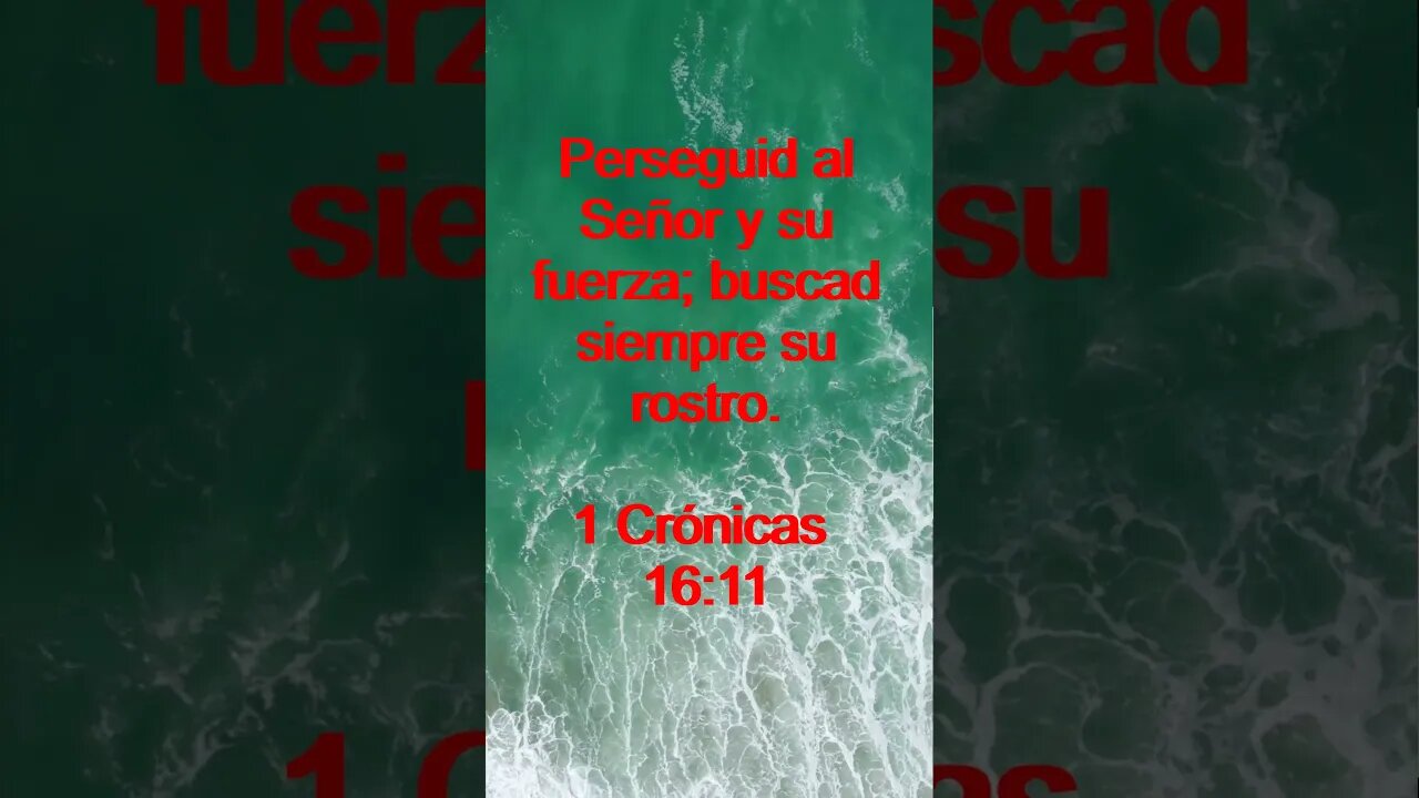 Verso Del Día | Lectura Inspiradora Para Empezar El Día. | 62