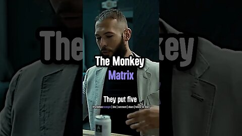 The Monkey Matrix