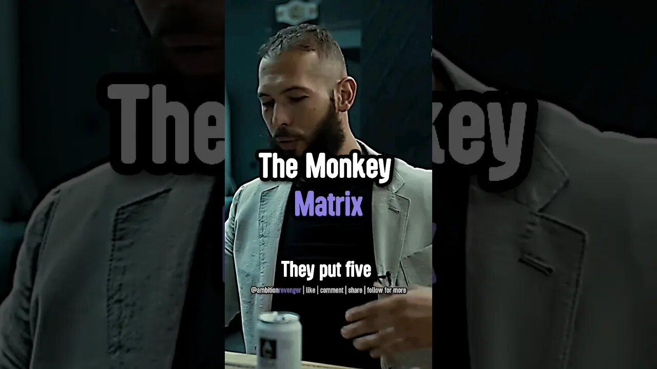 The Monkey Matrix