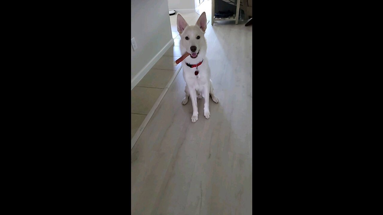 Maverick grown up