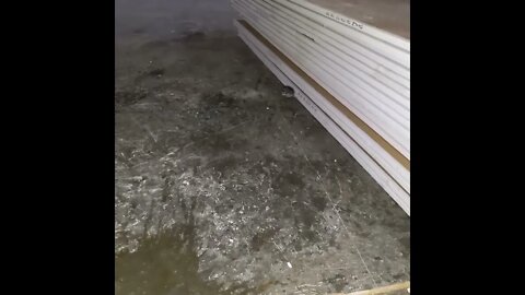 Nothing in Crypto is Stirring except for a 🐁