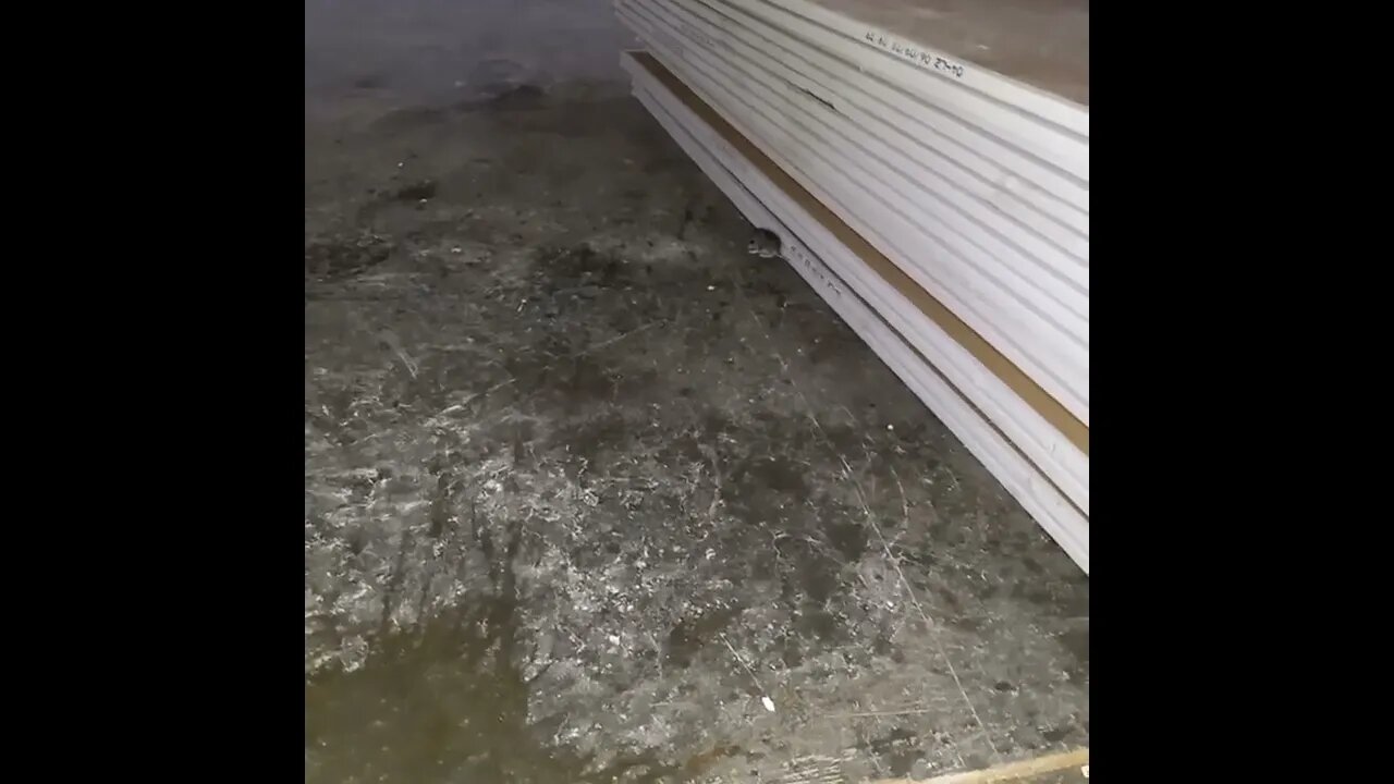 Nothing in Crypto is Stirring except for a 🐁