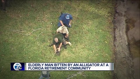 85-year-old man bitten by alligator in Florida