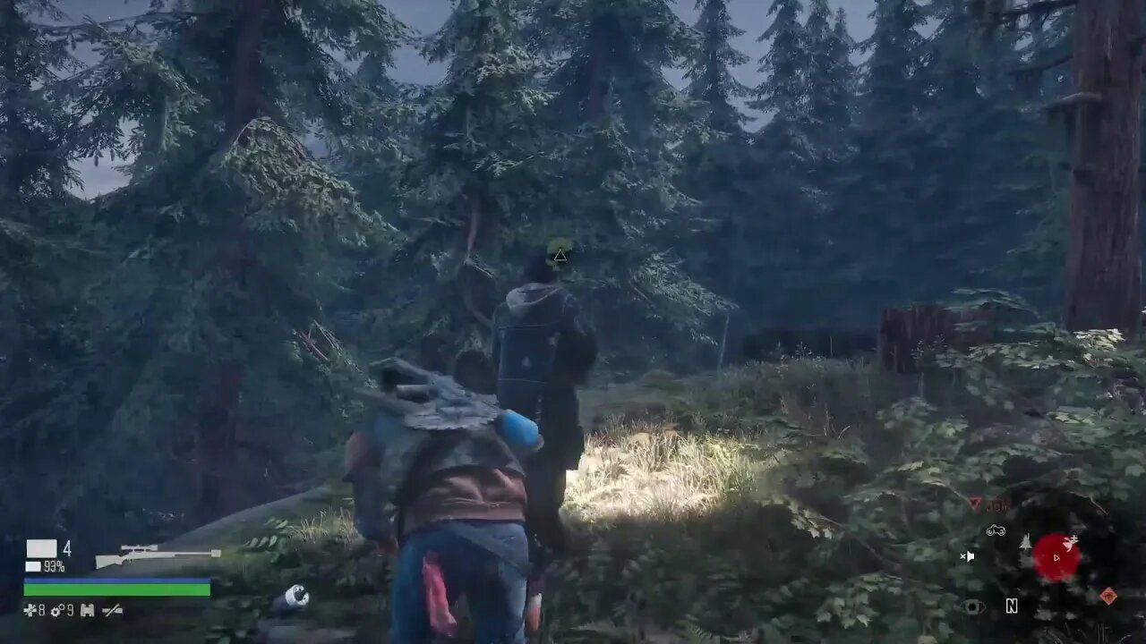 Days Gone