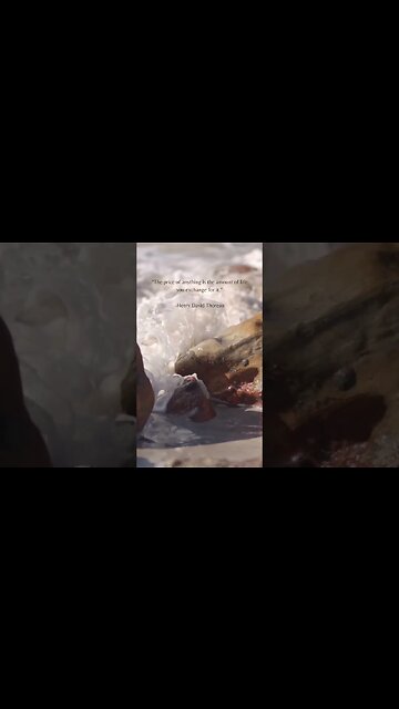 The Ultimate Cost: The Price of Life