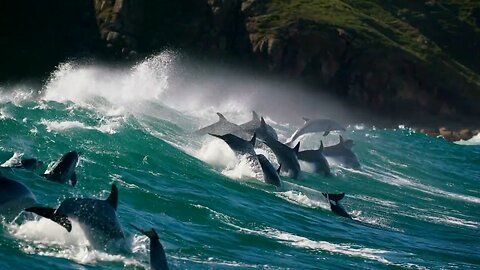 The Magnificent Beauty of Nature - HaloRock