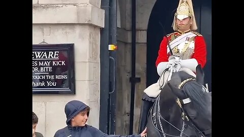 Boy ignors the new sign pulls the reins #horseguardsparade