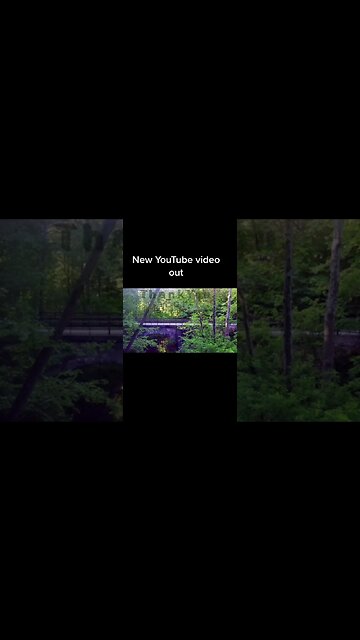 #shorts #viral #trending