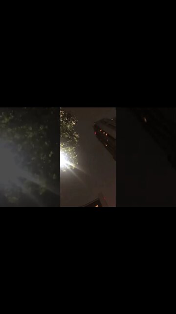 What’s going on with the Birds??? #birds