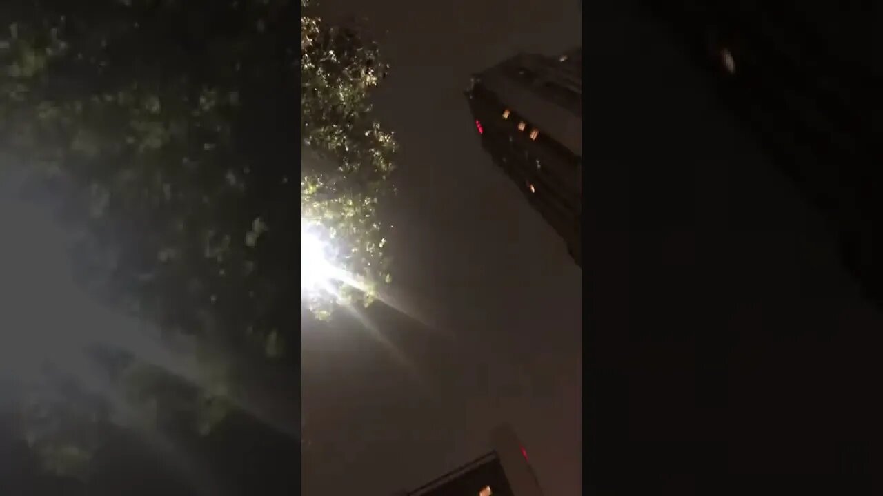 What’s going on with the Birds??? #birds