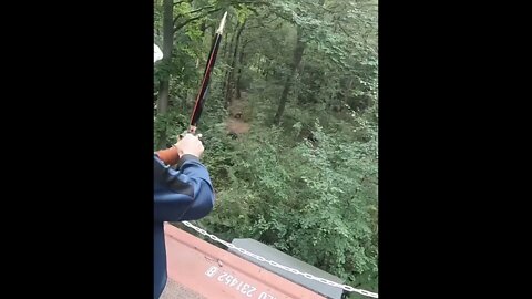 3 TARGETS 3 ARROWS