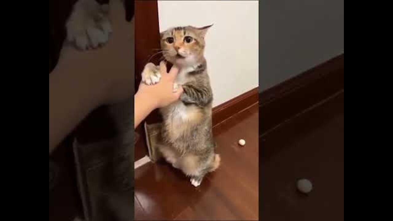 please don't do that 🥺