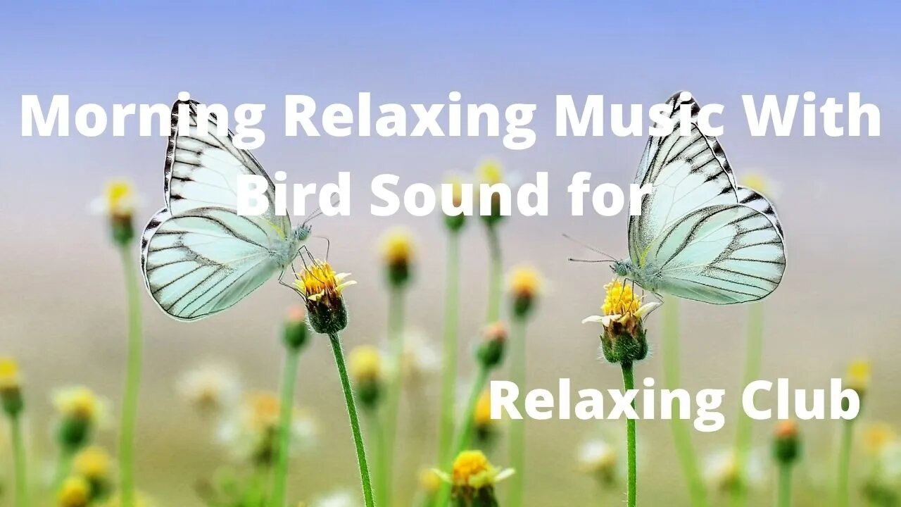 Morning Relaxing Music With Bird Sound for || Morning Bird Sound, Relaxing Music ,Nature Sound