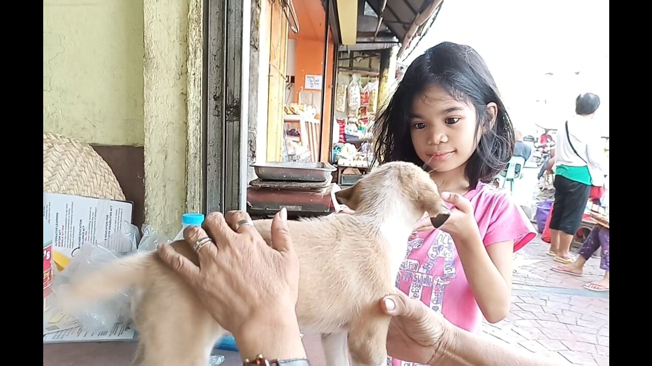 Dog Lover #Aiysha