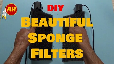 Beautiful Hydro Sponge Filter