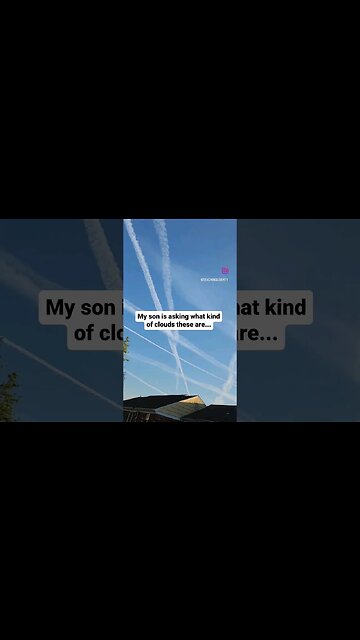 WHAT is going on here?!