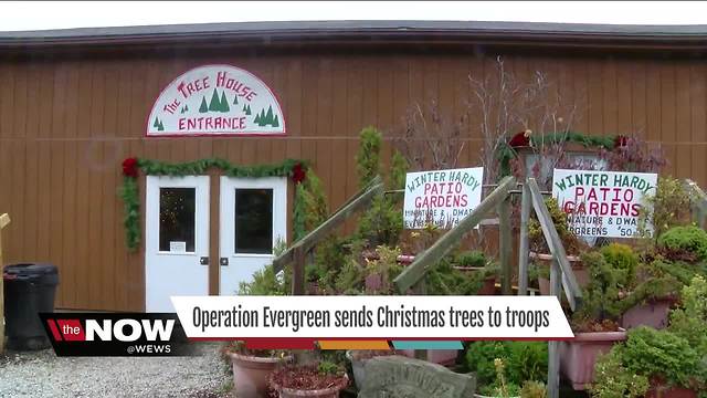 Operation Evergreen sends Christmas trees to troops