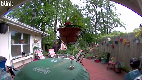 SOUTH_VIDEO_DOOR_BELL_2023-05-04T15_18_57-0400.mp4