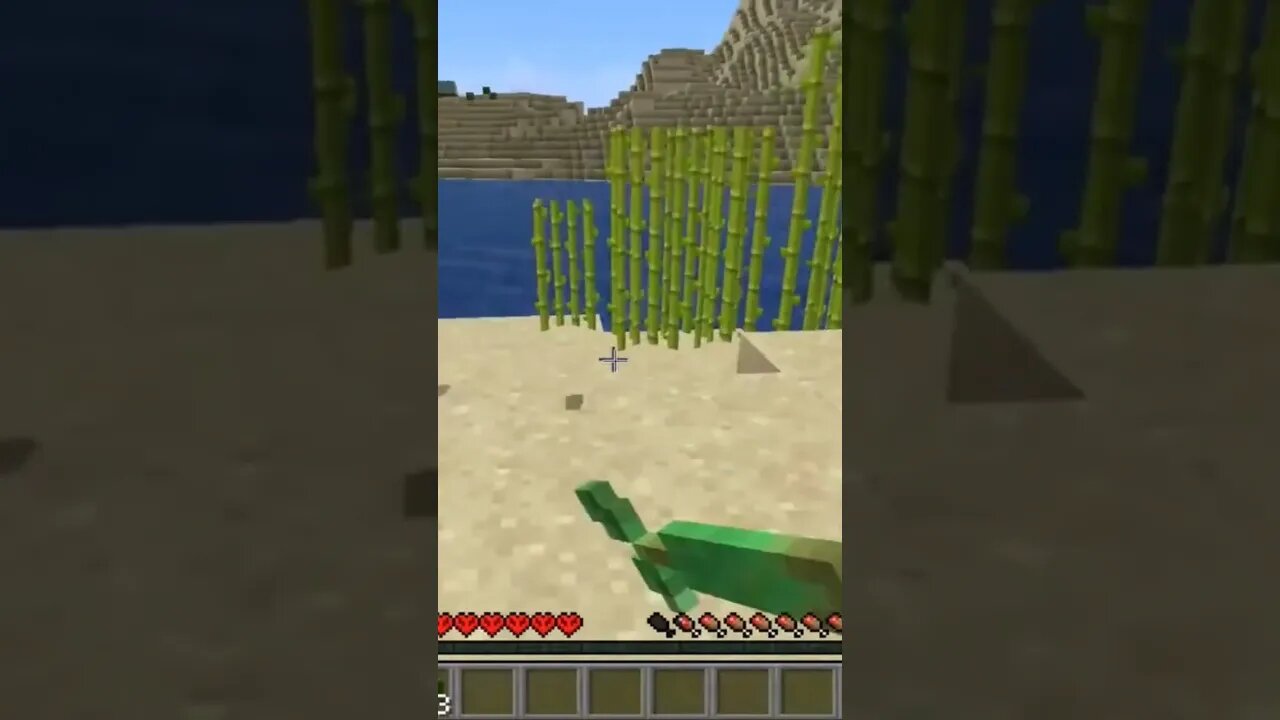 IO Turn...Running ONLY @NIGHT S2 Ep2 (Can Only run | No Stopping) MINECRAFT IO 🏃‍♀️