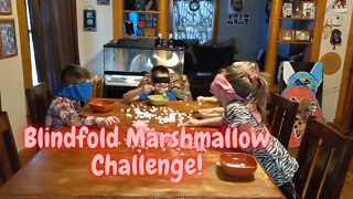 Blindfold Marshmallow Challenge! | Krazy Kidz Creations